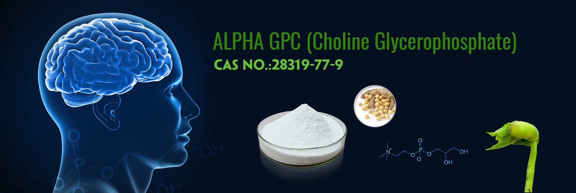 TRB BioExtract Natural Plant Extract Products - GMP Certified Herbal Extract Exporter