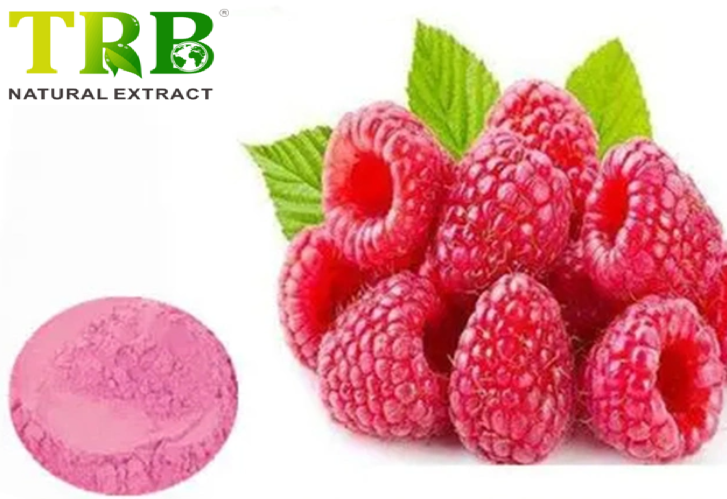 Wholesale Raspberry Juice Powder Supplier, Factory
