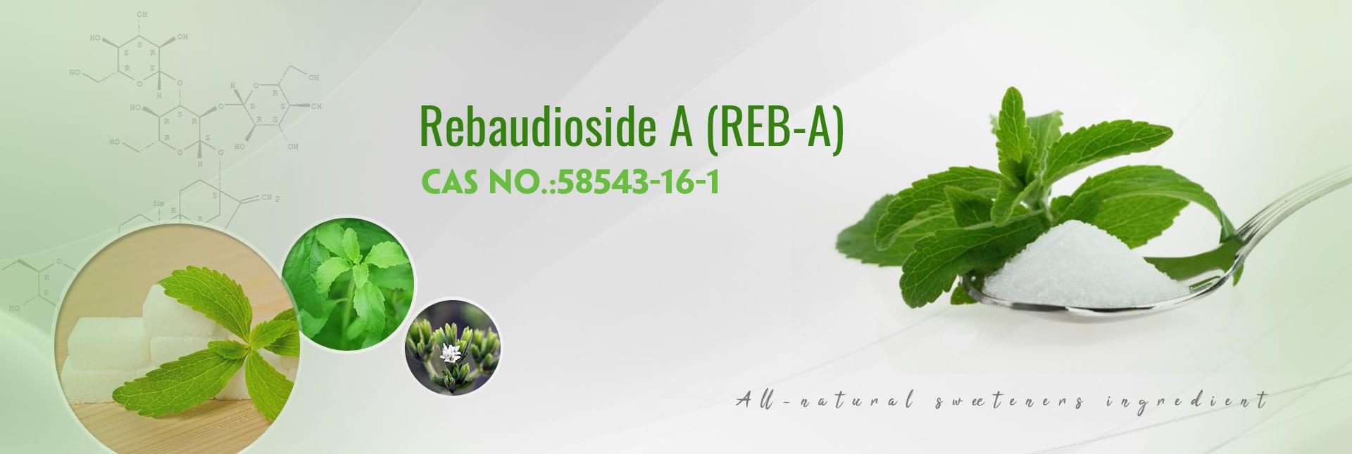 TRB BioExtract Premium Quality Herbal Extracts - ISO HACCP Certified Manufacturer Nanjing China