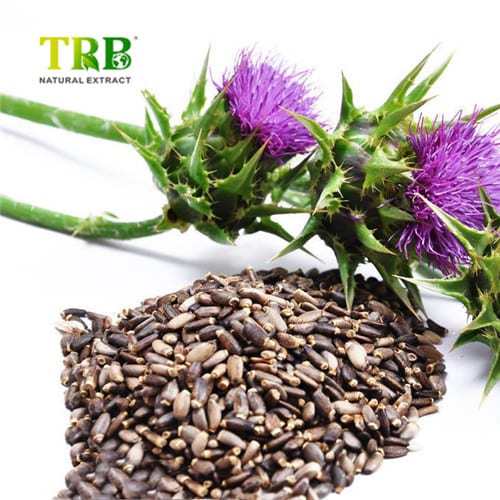 China Soluble Milk Thistle Extract Manufacturers, Factories