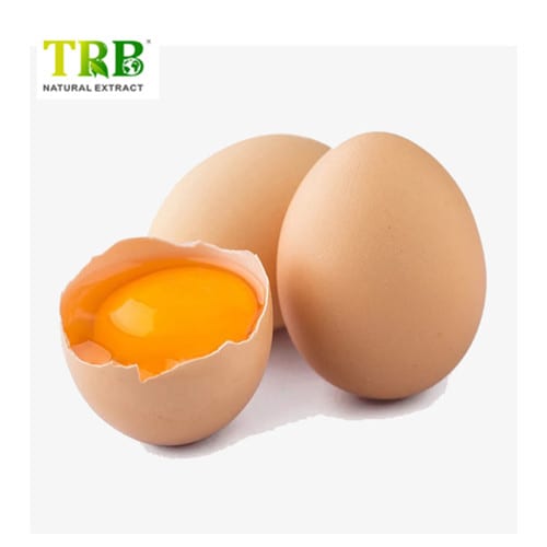 China Egg Phospholipids Manufacturer, Supplier