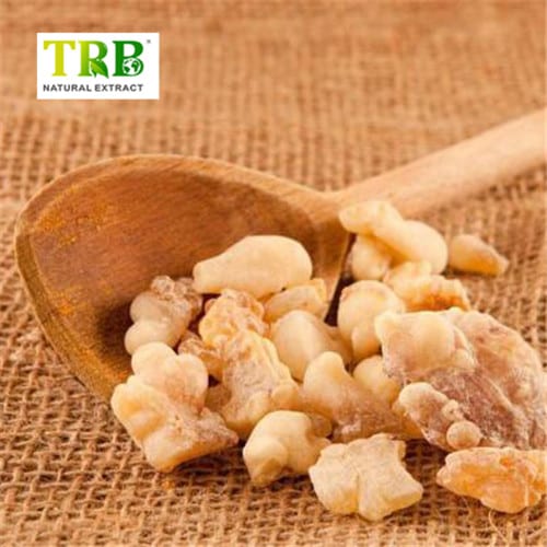 Wholesale Boswellia Serrata Extract  Supplier, Suppliers