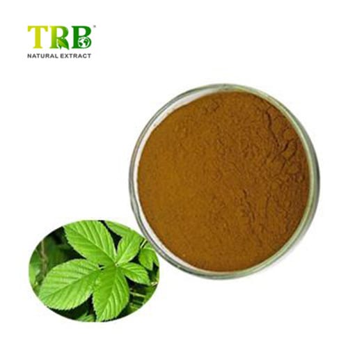 China Sweet Tea Extract Manufacturer, Factory