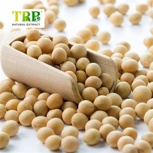 China Daidzein 98%  Manufacturer, Factories