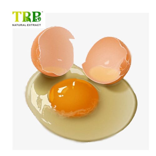 China Egg Phospholipids Manufacturer, Supplier