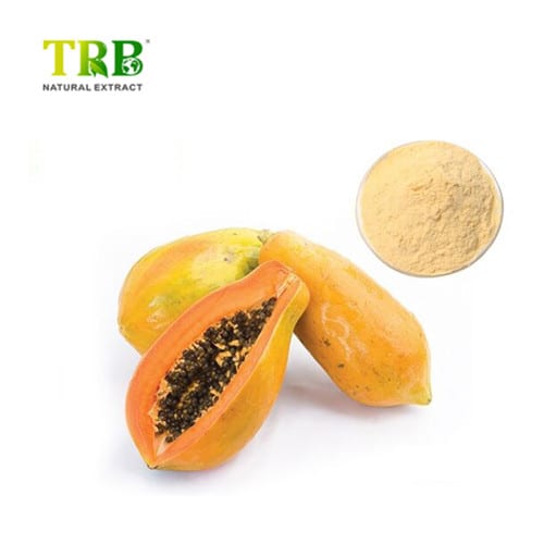 China Papaya fruit juice powder Suppliers, Factory
