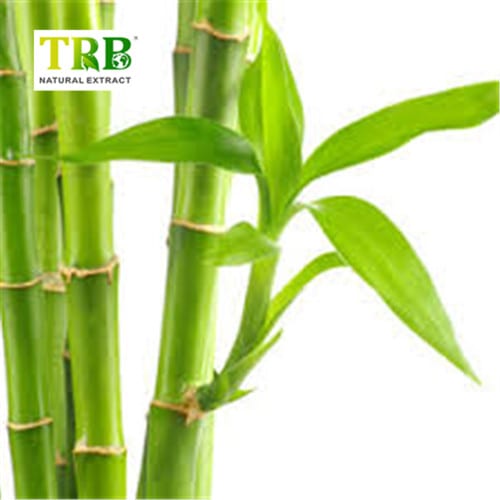 Wholesale  Bamboo Leaf Extract Manufacturer, Manufacturers
