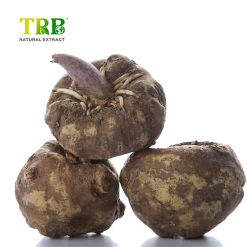 China Glucomannan(Konjac Extract) Suppliers, Factory