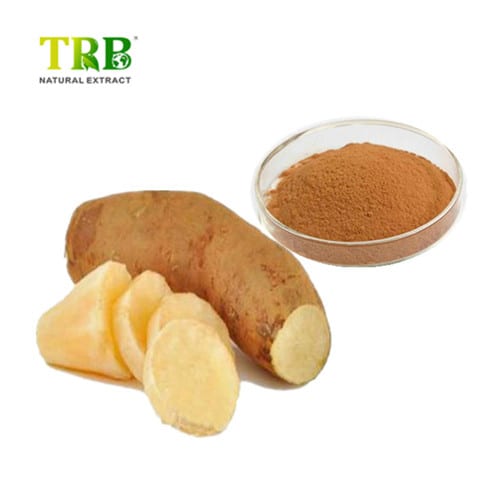 China Yacon Fruit Juice powder Manufacturer, Factories