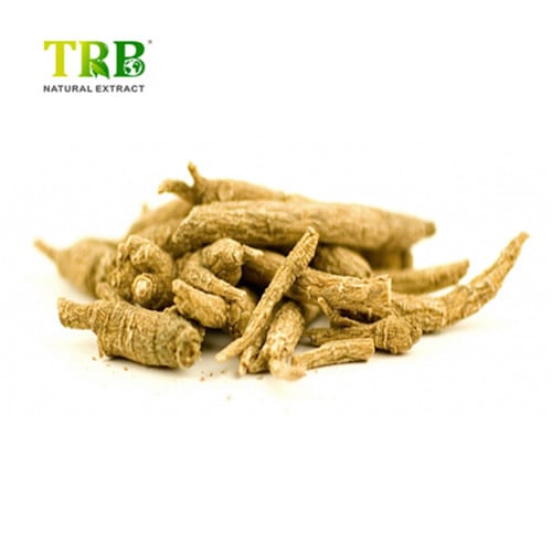 Wholesale Siberian Ginseng Extract Supplier, Factory
