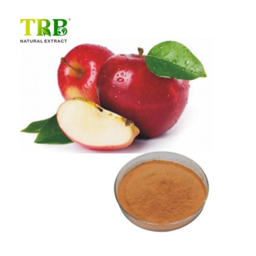 China  Apple Extract Phloridzin  Manufacturers, Suppliers