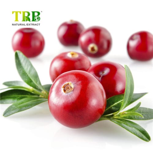 Wholesale Cranberry Extract Supplier, Factories