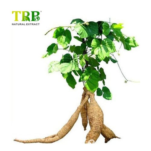 Wholesale Kudzu Root Extract Manufacturer, Manufacturers