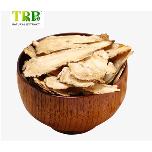 China Angelica Extract  Manufacturers, Factory