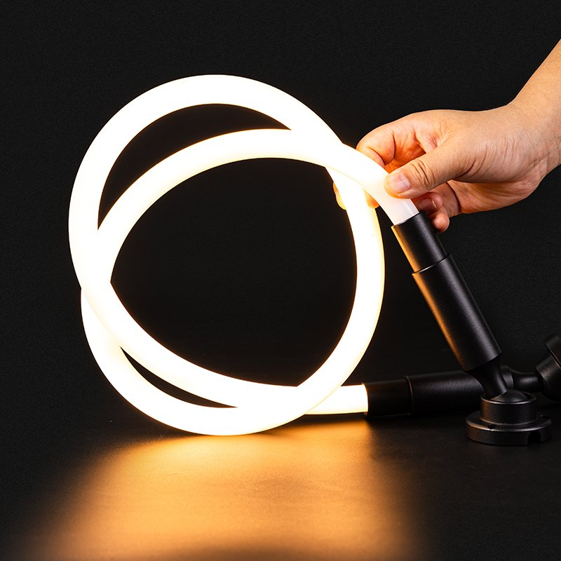 Indoor Lighting LED Wall Lamp 360 Degree Round Neon Flex Skyline Light