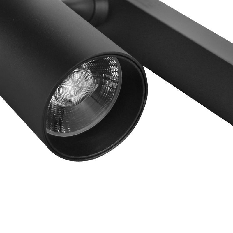 Factory Direct Sales 2022 Hot Models 30W Black White Round Two-Wire Commercial Track Light for Shop Wall Washing or Main Light
