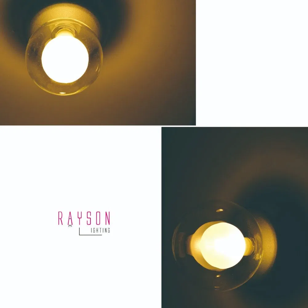 Double Glass Wall Sconce 6