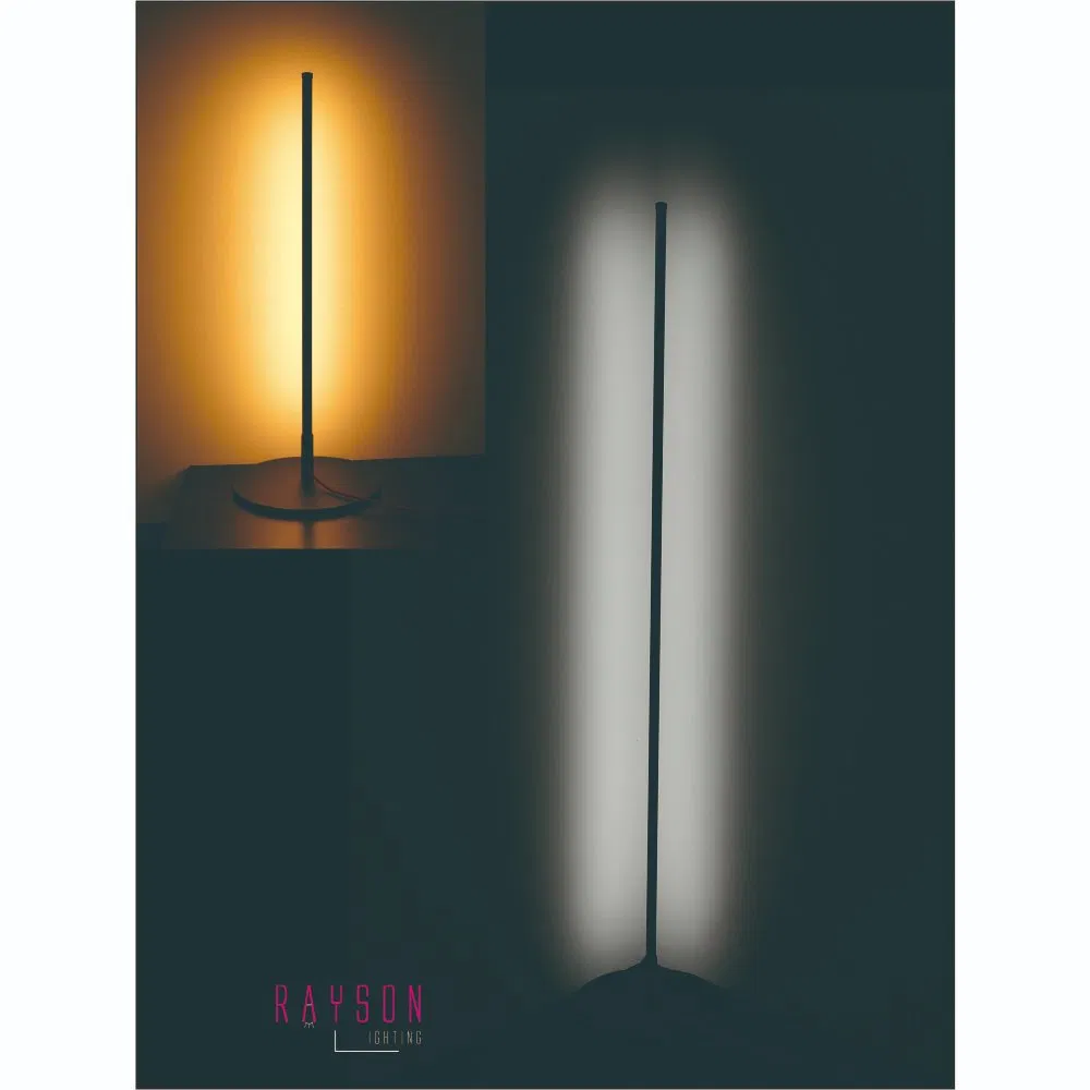 Simple Modern LED Table Lamp with CCT for Indoor Living Room Lighting (RB-TL05-TF)