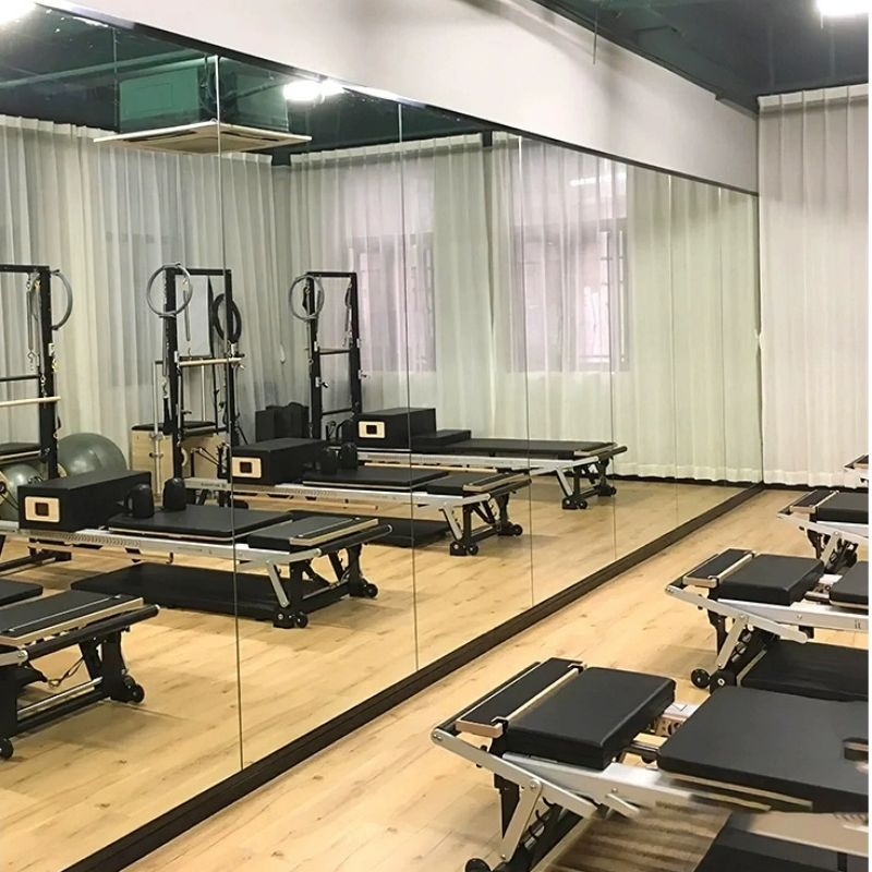 Stylish Pet-Friendly Wall Mirror Art for Modern Homes