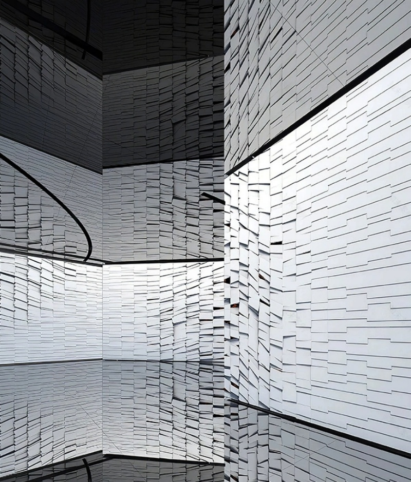 Stylish Pet-Friendly Wall Mirror Art for Modern Homes