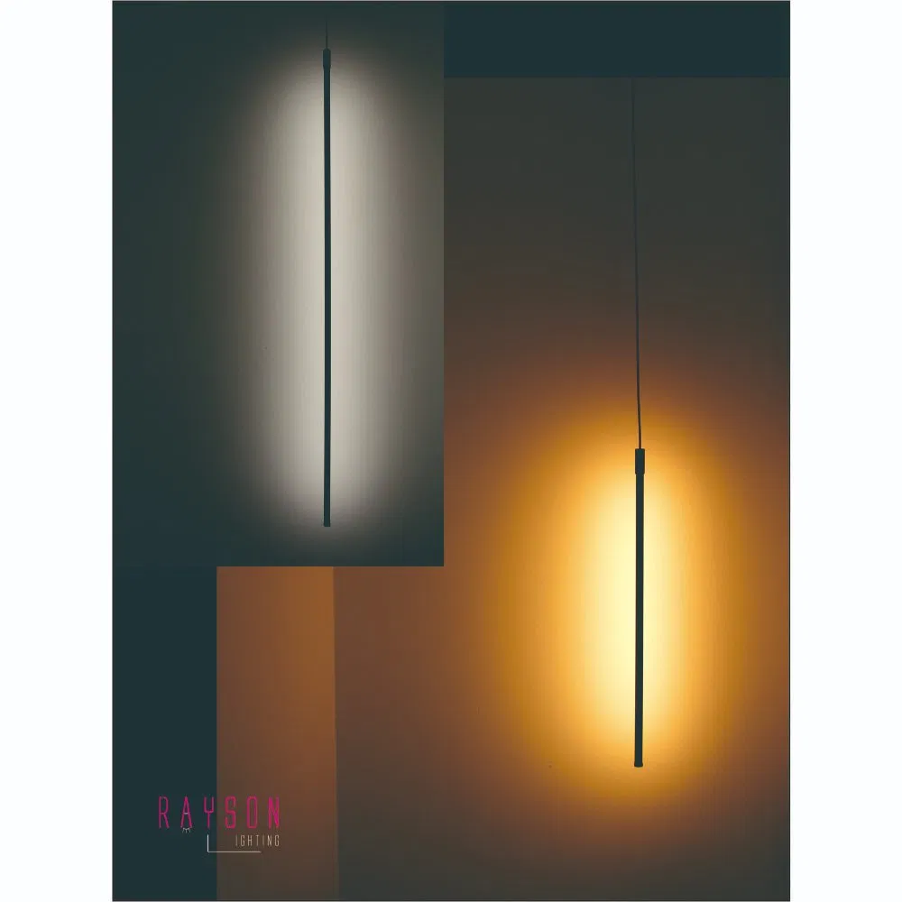 Simple Modern LED Table Lamp with CCT for Indoor Living Room Lighting (RB-TL05-TF)