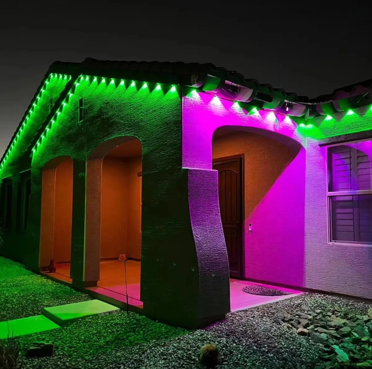 Jellyfish Outdoor Christmas 24V RGB LED Exterior Wall Eaves Light Decoration Dimmable for House Facade&Themed Festival