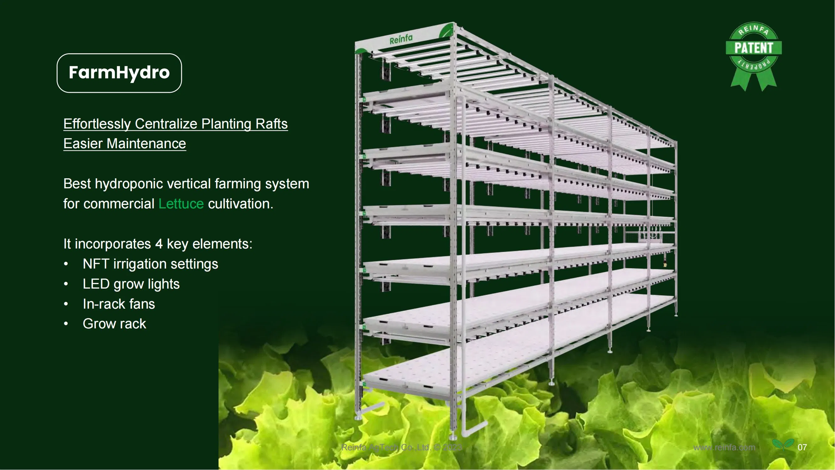 Customizable Indoor Vertical Hydroponic Growing Rack Commercial Lettuce Farming Solution with Smart Airflow Technology