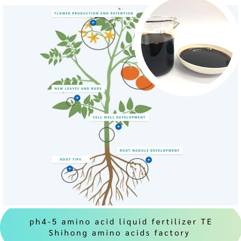 pH 4-5 Amino Acid Chelated Micronutrients Fe Zn B Mn Cu Mo Organic Liquid Fertilizer