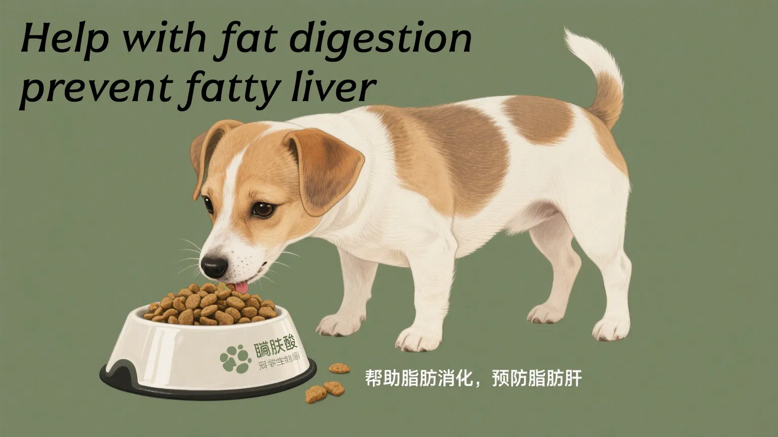 Bile Acid Feed Additive for Aquaculture and Poultry Improve Fat Digestion and Liver Health