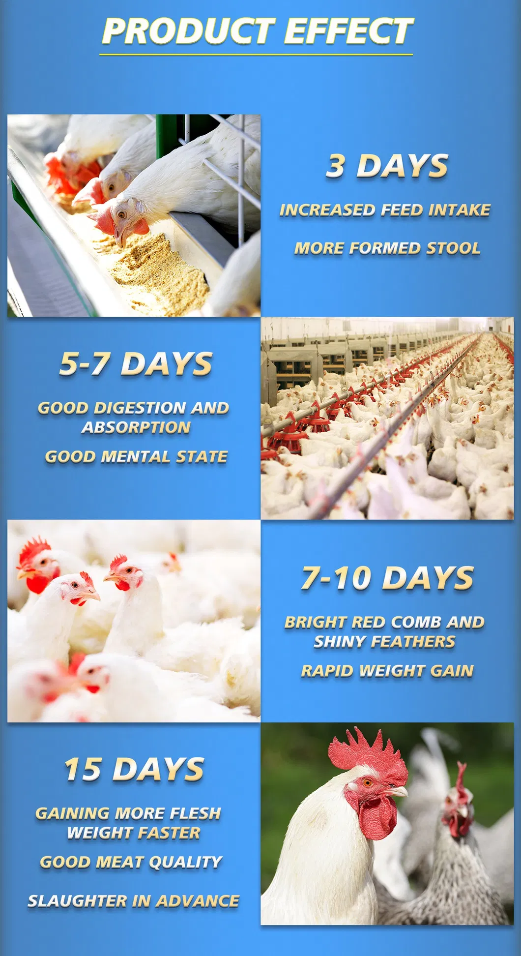 Feed Additives Showcase 6