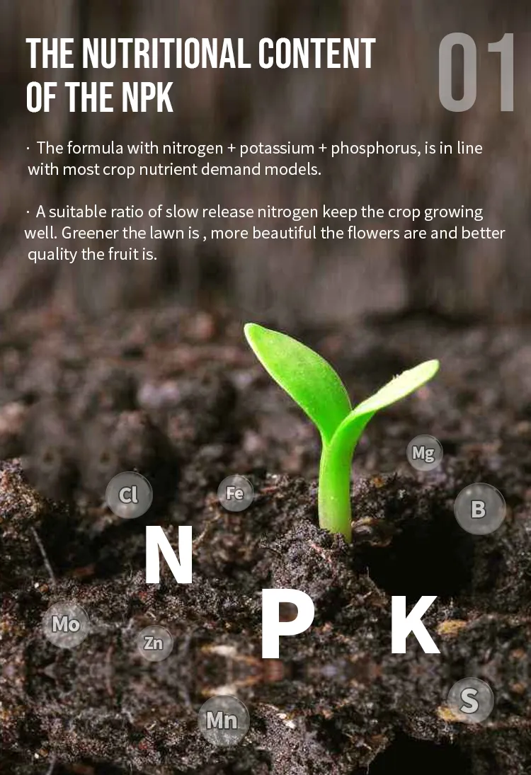 Slow Release Granular Fertilizer NPK