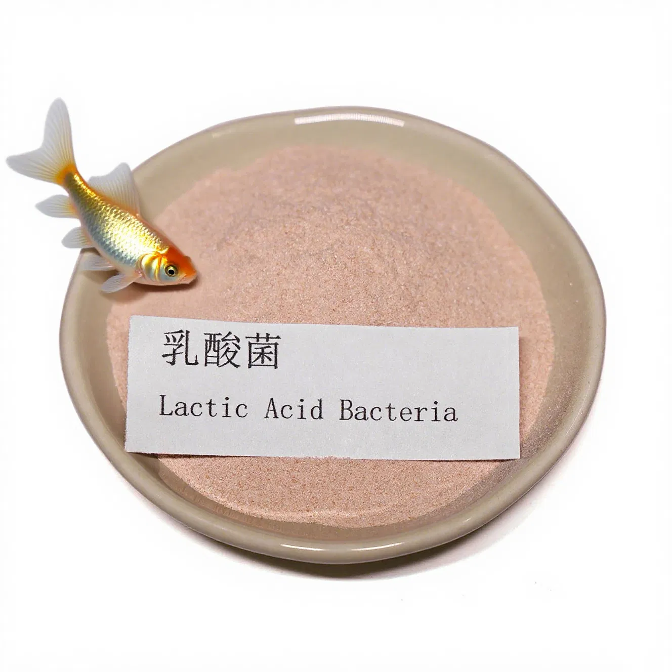 Lactic Acid Bacteria Feed Additive, Suitable for All Stages of Aquaculture, Enhances Immunity and Stress Resistance