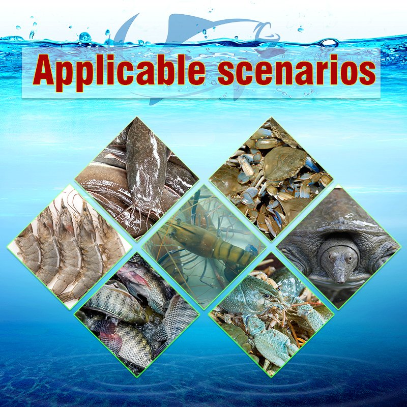 Aquaculture Feed Additives Fish Growth Booster