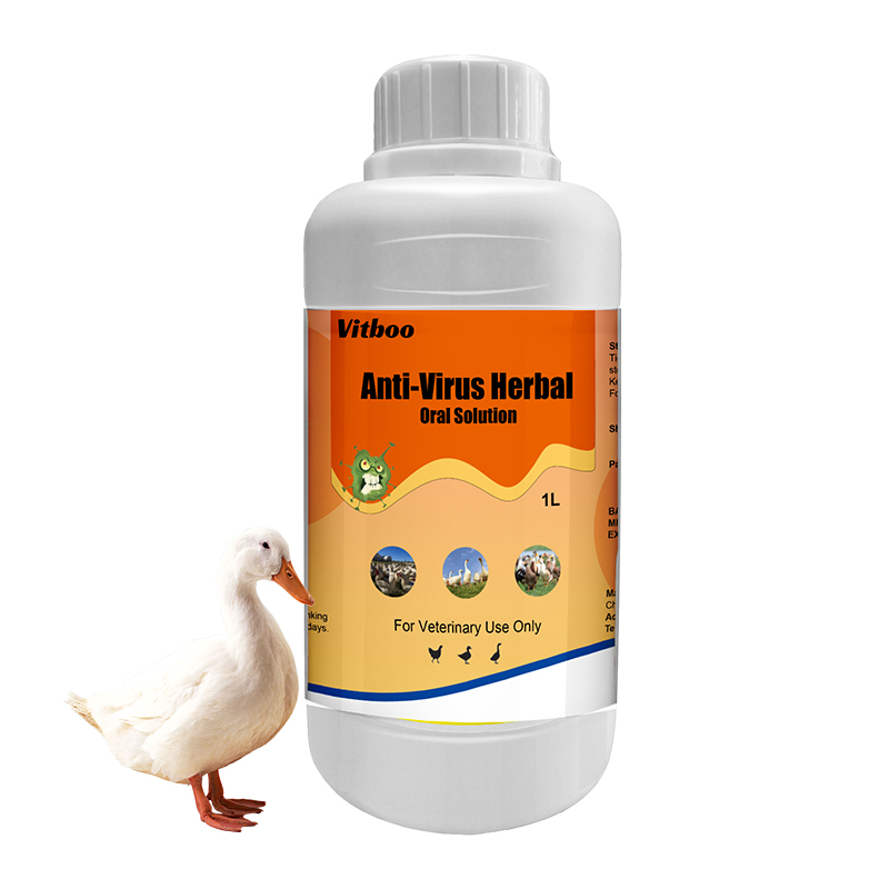 Newcastle Disease Vaccine for Poultry Antibacterial Growth Promoter Oral Solution Prevention