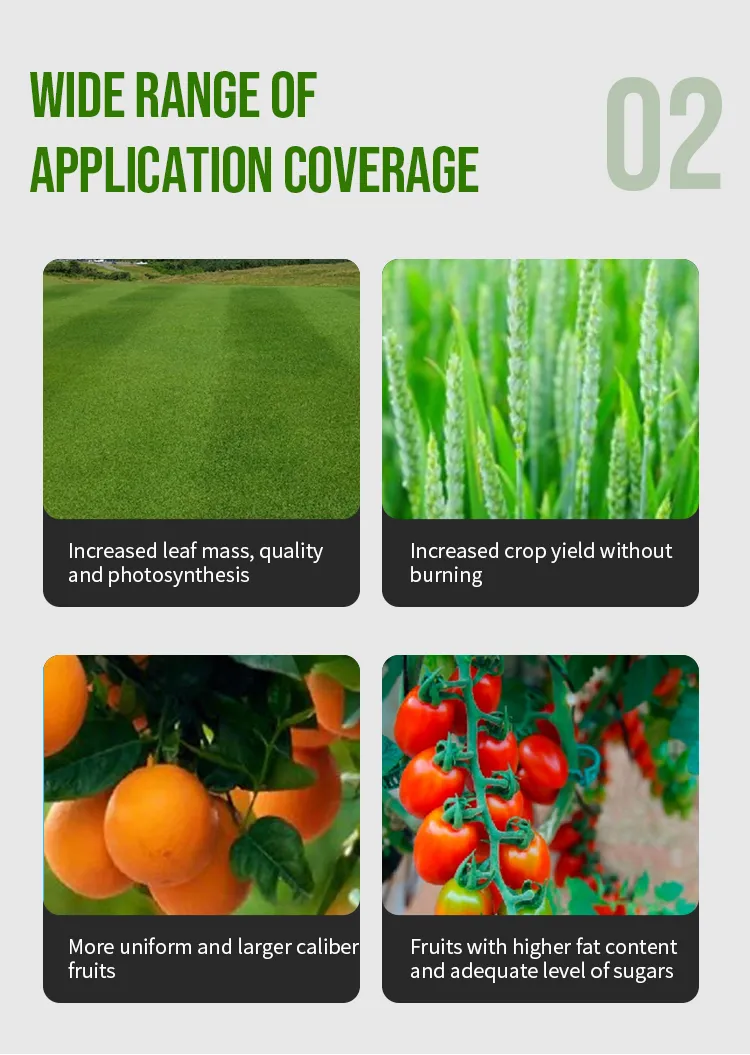 Foliar Fertilizer Details