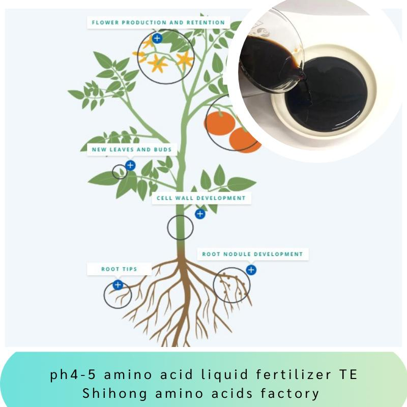 pH 4-5 Amino Acid Chelated Micronutrients Fe Zn B Mn Cu Mo Organic Liquid Fertilizer