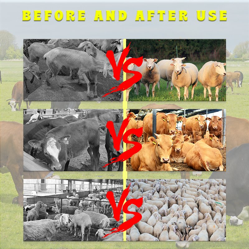 5% Milk/Sheep Premix Multivitamins Cattle/Sheep Growth Promoter Fast Growth