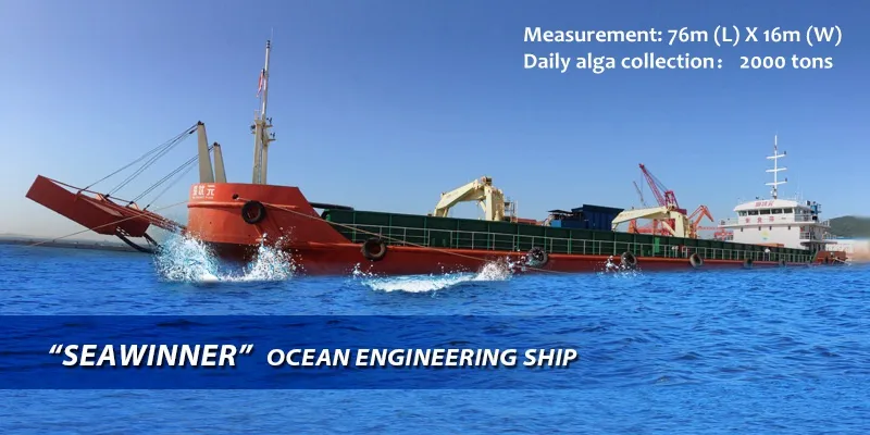 Blan N-4 Slow Release Nitrogen Plus Seaweed