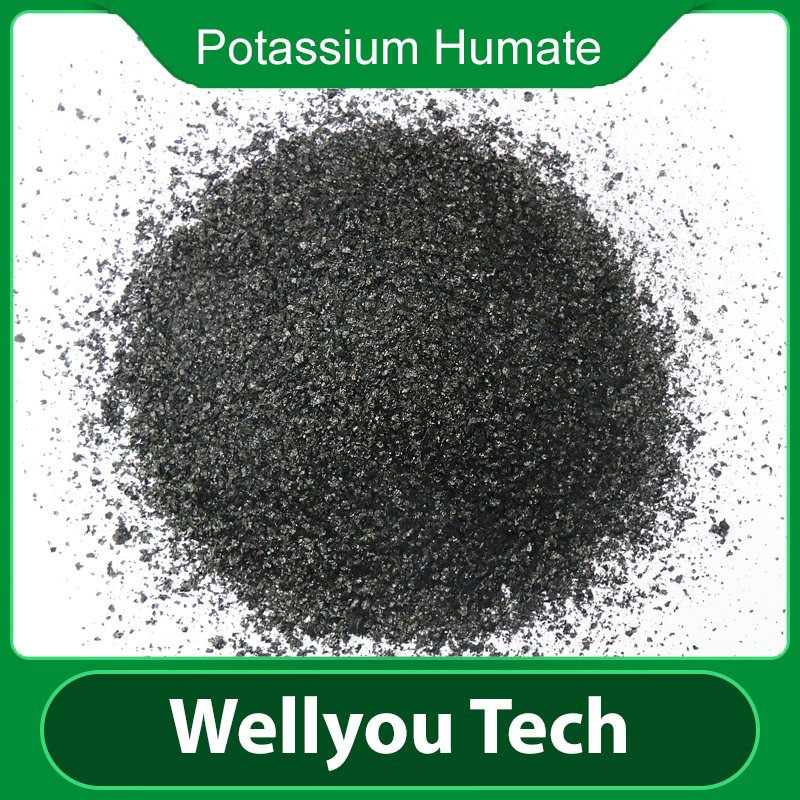 Water Soluble Leonardite Source Potassium Humate Micronutrient Fertilizer Wellyou Tech