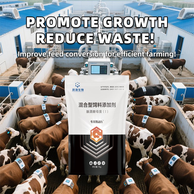 Ruminant Stomach Power Cattle &amp; Sheep Fattening Feed Additive Natural Probiotics Booster