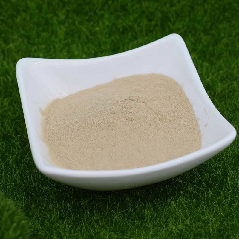 Amino Acid Chelated Micronutrients for Lettuce, Amino Acid Chelated Molybdenum Fertilizer