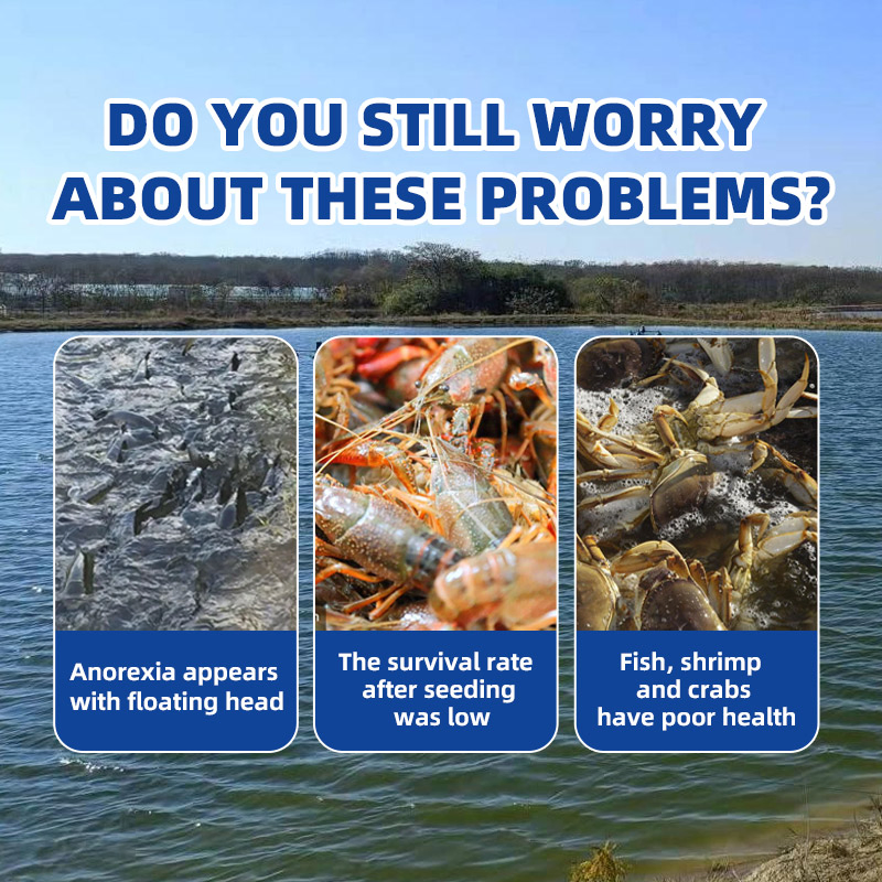 Aquaculture Feed Additives Stress Quick Resistance for Fish Mutilvitamin