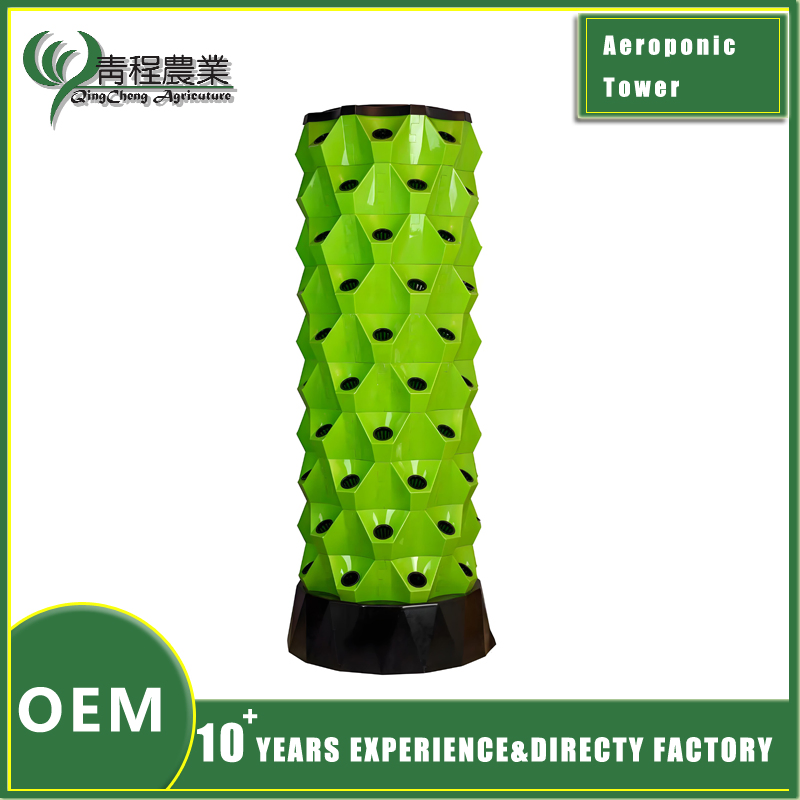 Custom Pineapple Storage Solutions for Efficient Home Organization