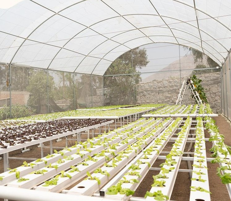 Complete Hydroponic Nutrient Solution Hydroponics Gully Grow Kit Nft 10050mm