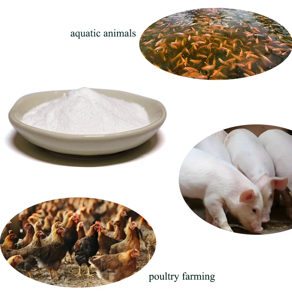 Fish Bile Acids Feed Additive for Aquaculture Growth Promotion
