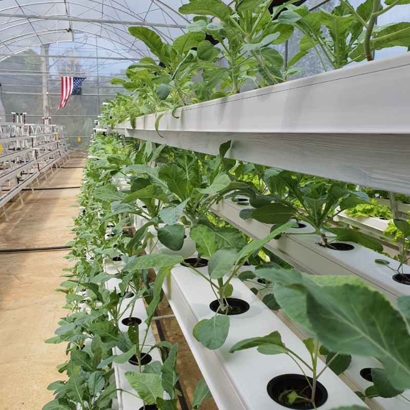 Vertical Farming Solutions Indoor Hydroponic Gardening Nft Setup