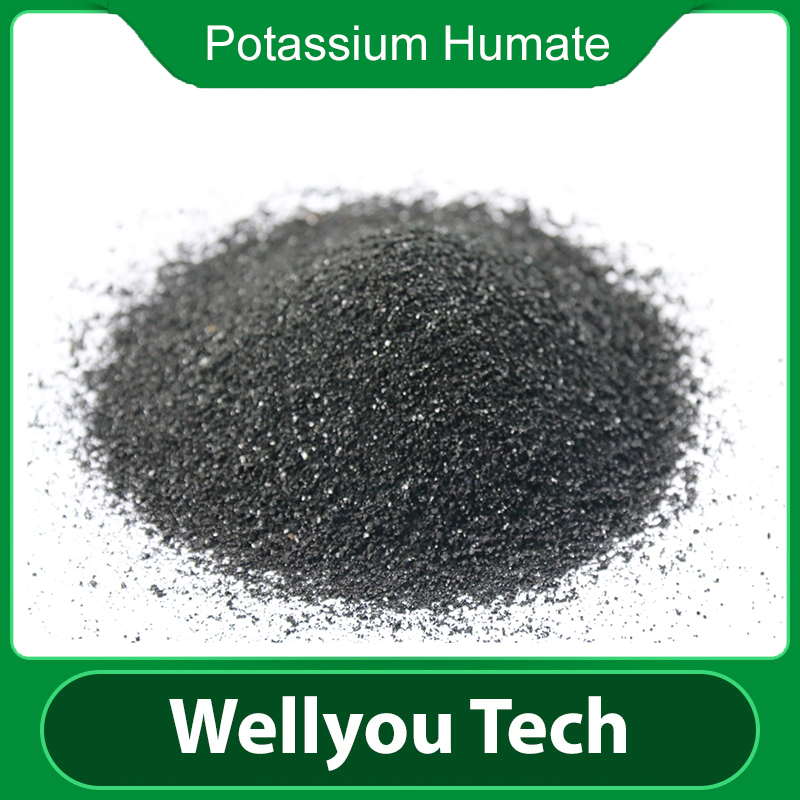 Water Soluble Leonardite Source Potassium Humate Micronutrient Fertilizer Wellyou Tech