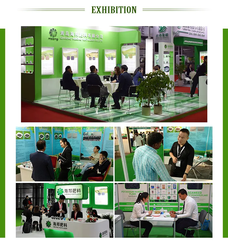 Manufacturing Process