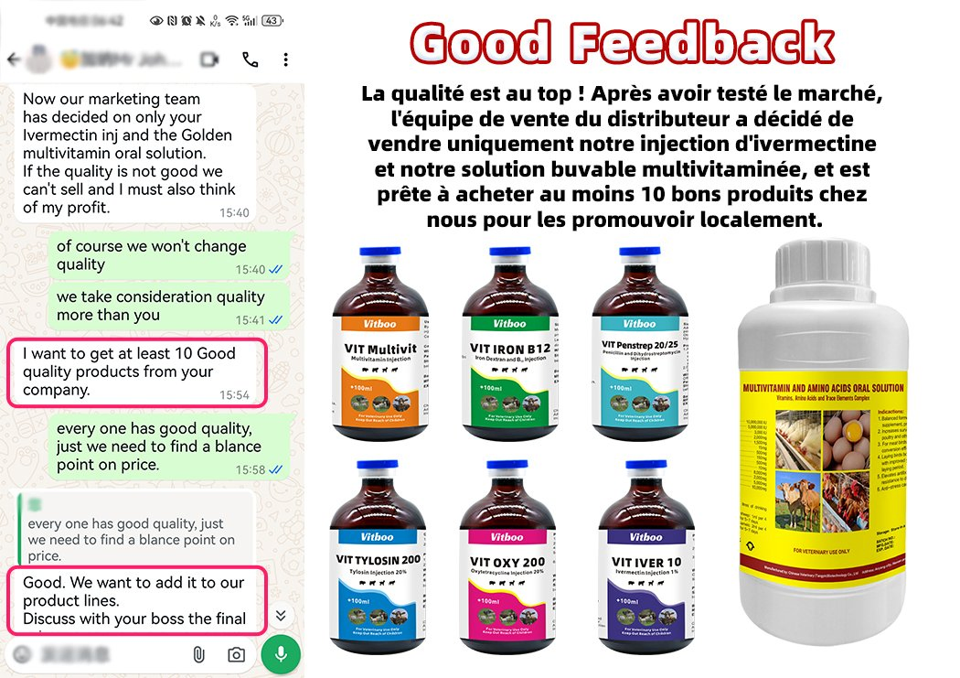 Vitboo Complex B Multivitamin Injection for Weak Sows After Delivery Piglets Supply Vitamin Electrolytes