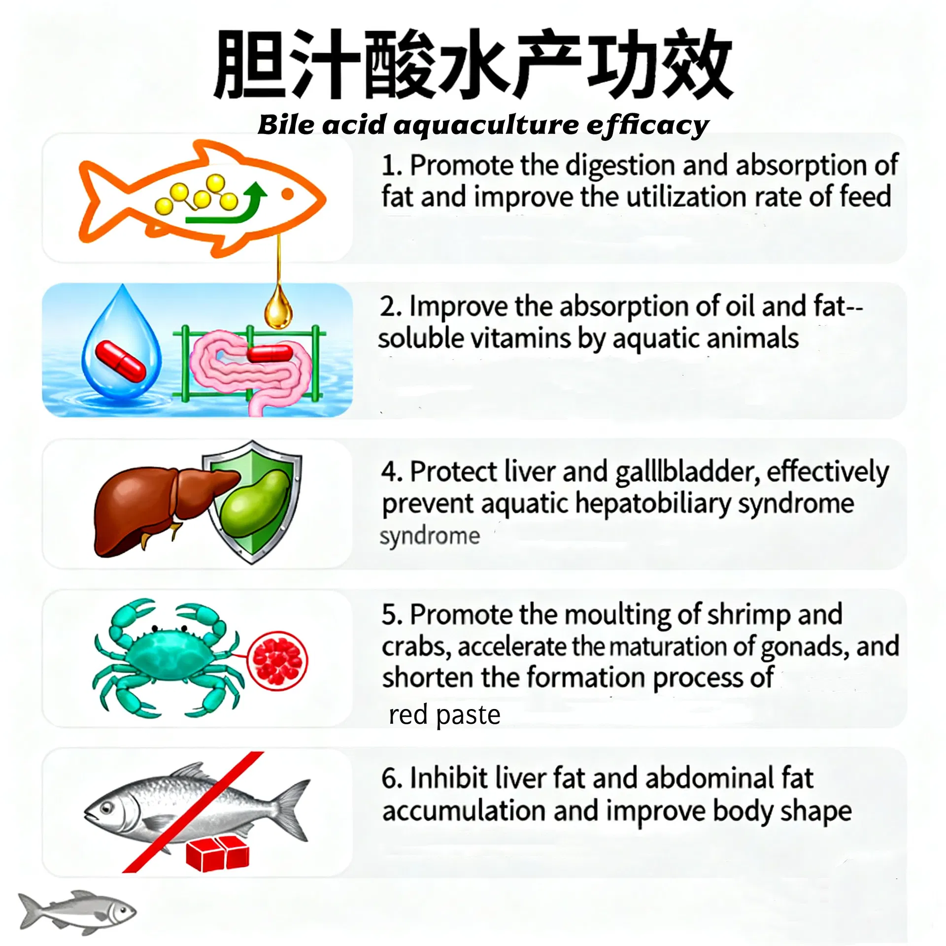 Function Illustration 3